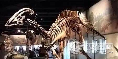 50万年前南京可能出现过白种人