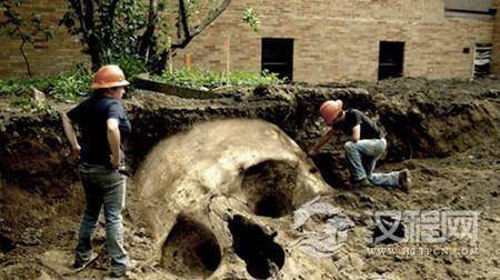 你所不知道的巨人遗骸