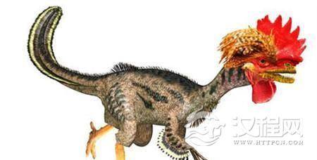 鸟和鸡是恐龙演化