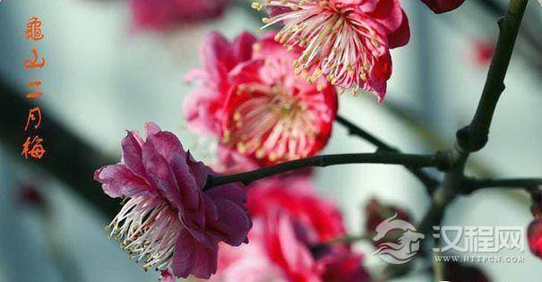 你知道为什么二月只28天或29天?