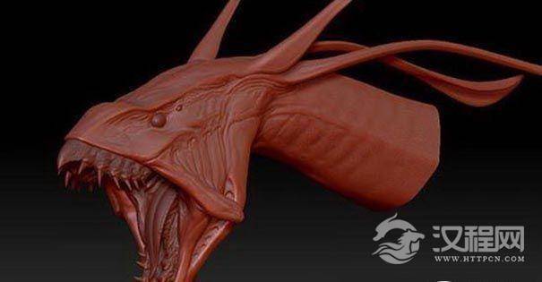 新翼龙化石标本