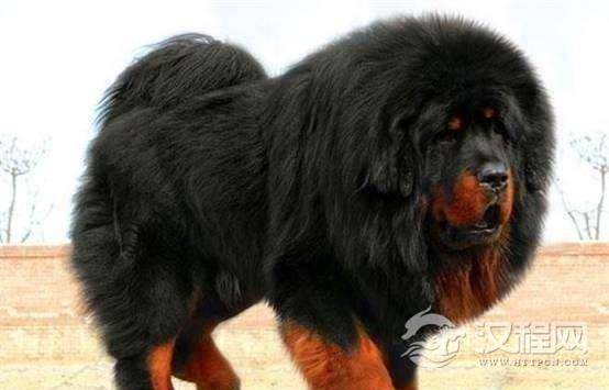 clip_image002 (2).jpg