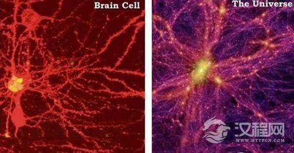 大脑细胞和宇宙