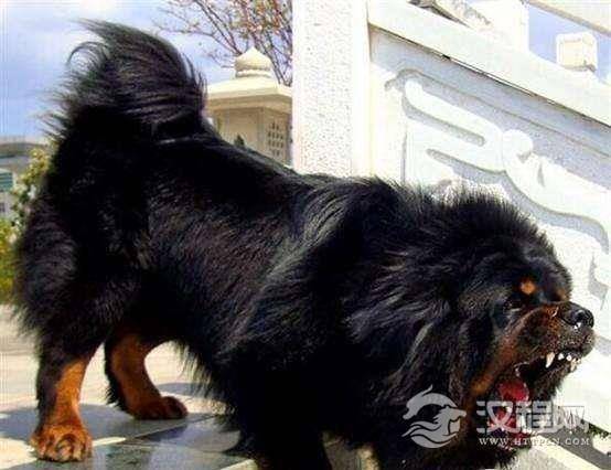 clip_image004 (1).jpg