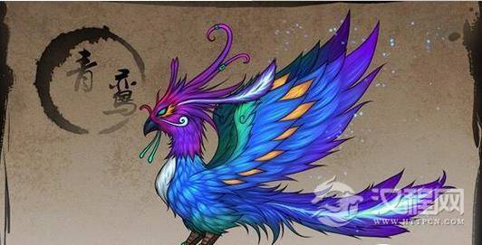 青鸟是什么鸟？青鸟为什么是神鸟？