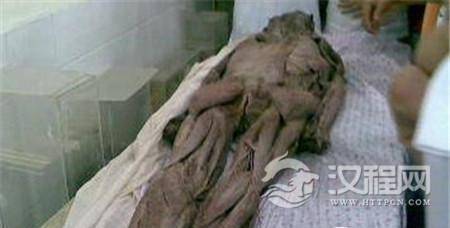 五千年干尸恐怖重生