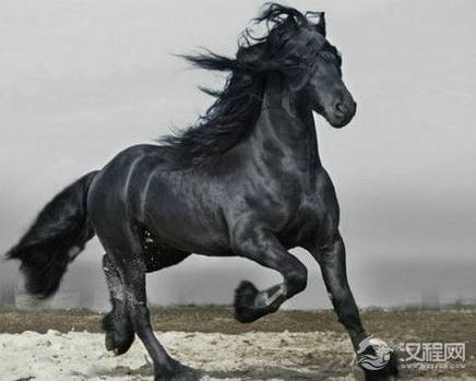 除了赤兔马之外，历史上还有哪些名马？