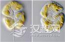 科学家或发现30亿年前的超古老浮游生物