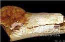 古人类化石证实人类170万年前或已患有癌症