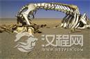 昆仑山死亡谷:地狱之门下藏有巨大野兽尸骨
