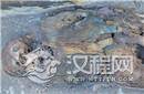 蒙古发掘中国干尸 初步判定为2000年前中原人