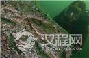 海底发现埃及艳后宫殿：千年前地震致古迹沉没