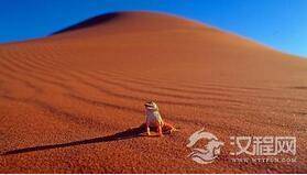沙漠隐藏的秘密：沙漠之中竟存在这些怪事