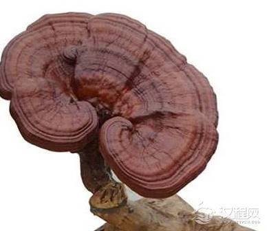 盘点古代4种改变了历史进程恶疾 换做现在却能简单的治好