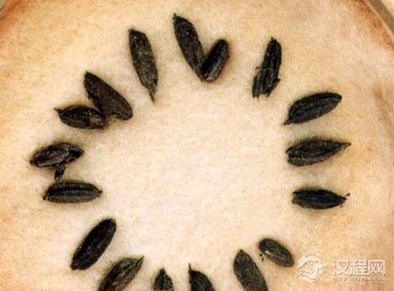 河姆渡文化主要分布在哪些地区？经济生活都有什么特点