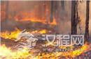 研究称白垩纪森林大火或导致恐龙葬身火海