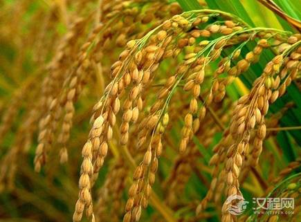 宋朝时期的国土面积最小 人口数量为什么还如此之多