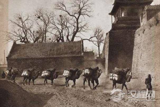 历史上曹真和龙啸虎吟里结局 司马懿杀尽三族临死前我为富家郎