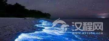 蓝眼泪现象是怎么回事？为什么会形成？