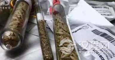 真种子库！人类文明的诺亚方舟，包含几百万份植物种子