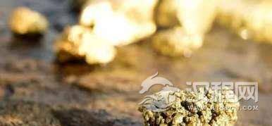 一份报纸200元!谈谈170年前加州是怎么致富的?