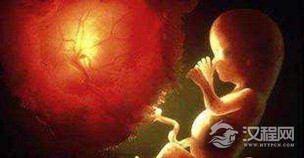 为什么要吃胎盘? 吃胎盘到底好不好，会有危险吗?