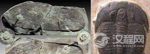 盘点那些疑似穿越到古代的现代物品：木乃伊竟然穿上了阿迪