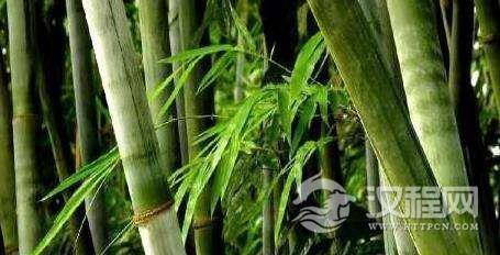 这些中国古代从不外传的巧技偏方：现代科学也难以解释其中奥秘