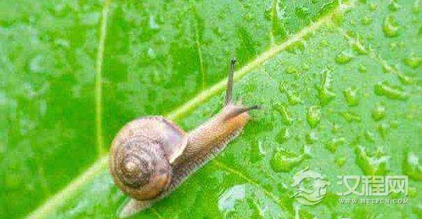 听说找到了可以选择性删除部分类型记忆的方法？