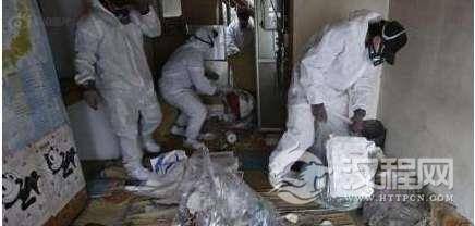 尸臭到底有多臭？如果处理不正确可能会中毒！