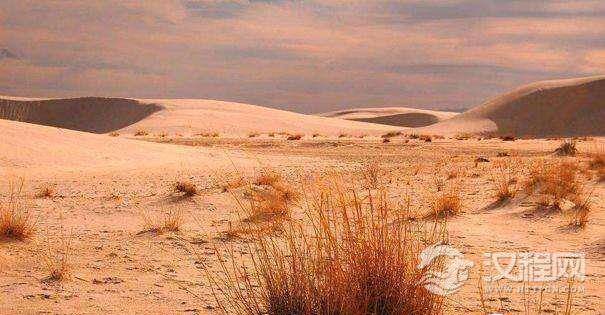为什么很多湿润地区也会有沙漠?面积如此广大的沙漠究竟是怎样形成的?