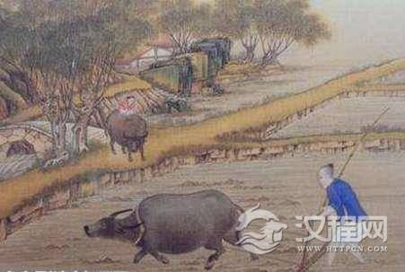 这种动物在古代比人命还值钱，常见却不能杀，病死都的通报官府。