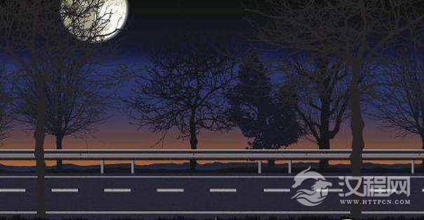 即使到了今天，没有人知道其实树木也是会睡觉的