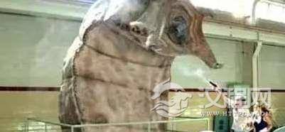 生物学家一生致力于寻找蒙古死亡之虫，盘点史上有记载的恐怖生物