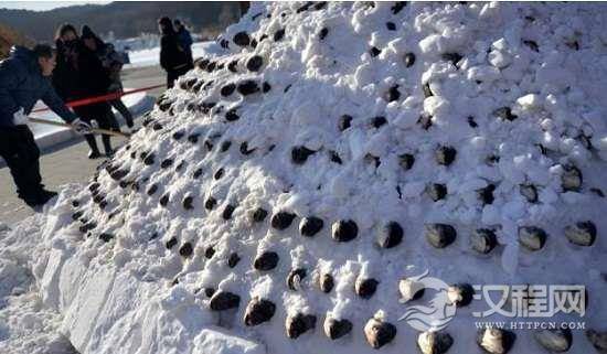 大鱼垒成雪塔保鲜是什么情况？5000斤鱼堆积成的山你一定没有见过！