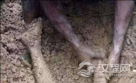 想要进入秦始皇陵去，还要考虑皇陵中的五大机关