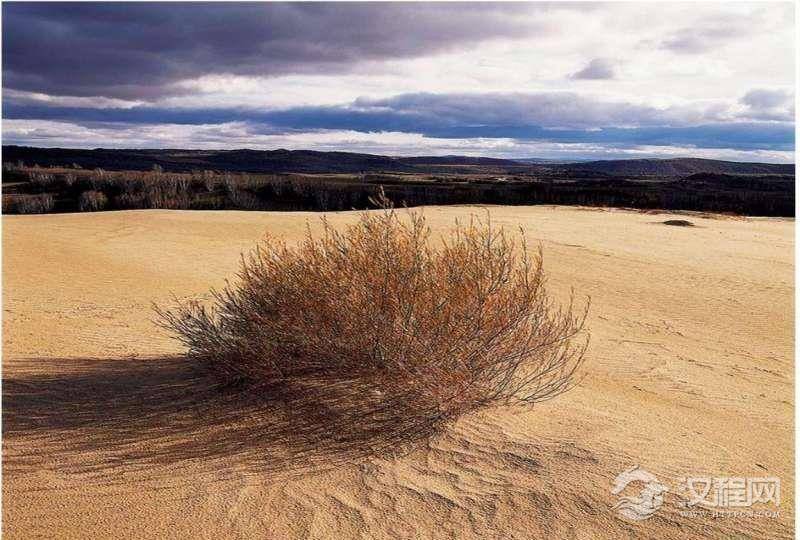 我国温度最高的地方地表温度能达到83.3摄氏度,是名副其实的“中国热极”