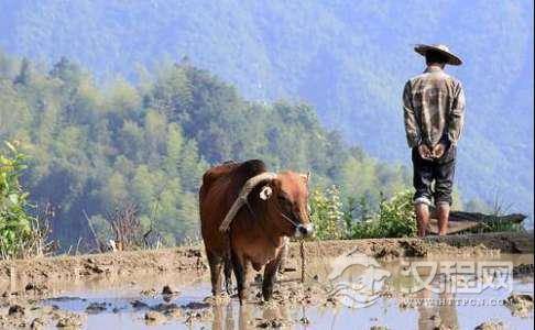 梁山好汉为啥天天吃牛肉？难道这肉是假的吗？