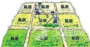 初税亩的改革发生在什么朝代？主要内容是什么