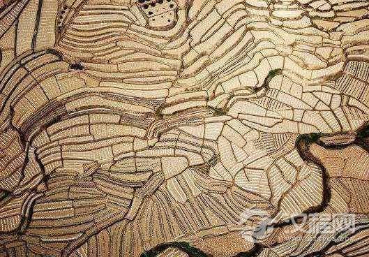 浅谈初税亩出现的背景及其内容，后世是怎么评价的？