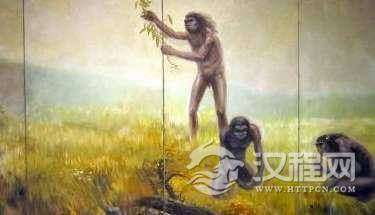 元谋人、蓝田人、北京人、山顶洞人，哪个才是中国人的祖先？