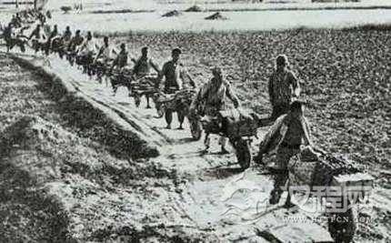 继续战争的战争背景是怎样的？参战双方都有谁