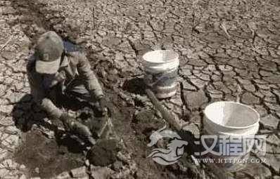 玛雅人消失之谜被揭开，玛雅人可能死于干旱