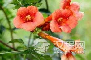 羊斟惭羹的故事，因为一杯羊羹，灭掉一个国家