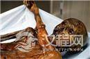 5000年前木乃伊冰人“奥兹”身份揭晓