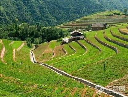 汉朝时期的百姓生活是什么样的 百姓都吃些什么