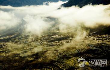 起初调弦都调不准的师文是如何成为音乐大师的？