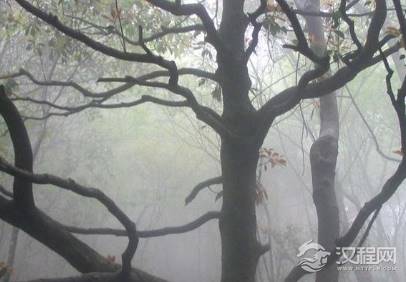 古人常说的瘴气是什么 为何现在又没有了呢