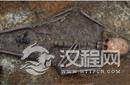 考古发现：千年女尸佩戴神秘黄金十字架