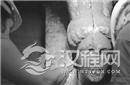 揭秘：希腊古墓现女像柱 墓主疑是亚历山大